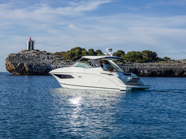 Photo Sea ray - sundancer 320