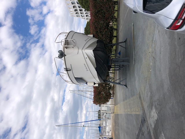 Photo Delphia - delphia 1100