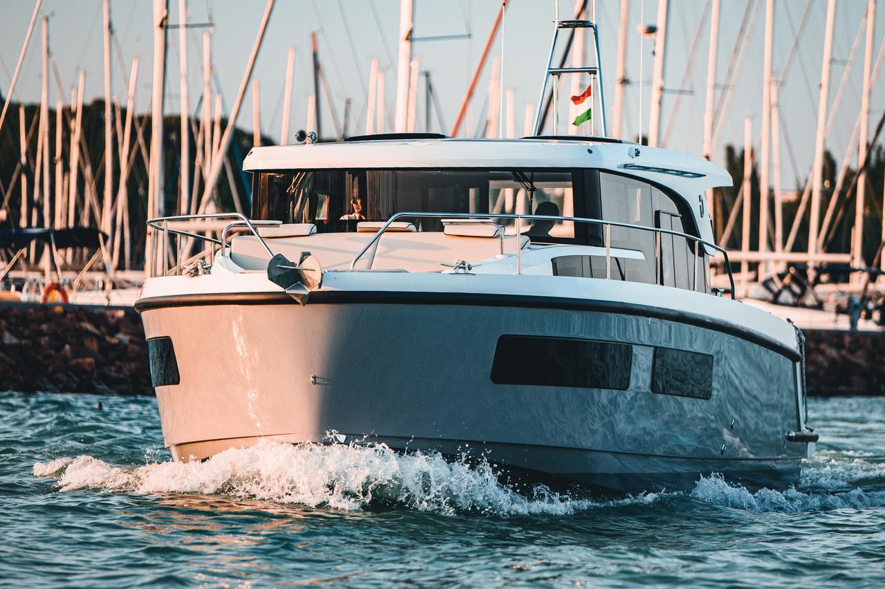 Photo Delphia - delphia 11